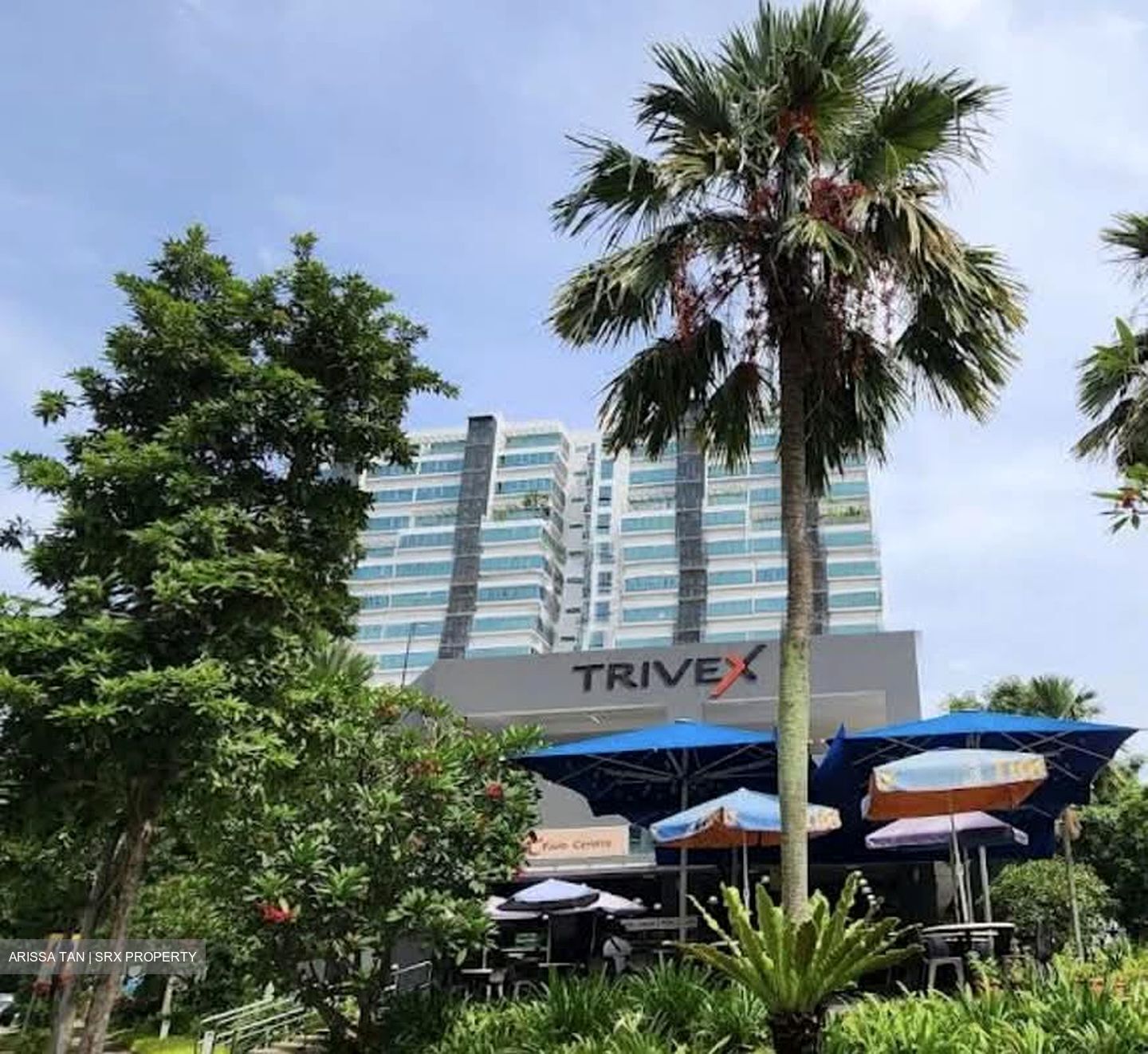 Trivex (D13), Factory #557827901